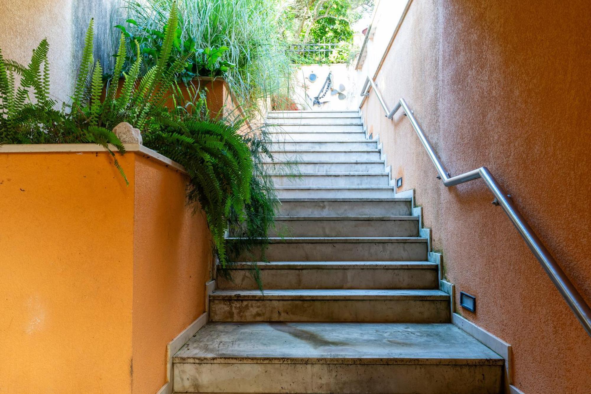 דוברובניק Apartmani Kadena מראה חיצוני תמונה